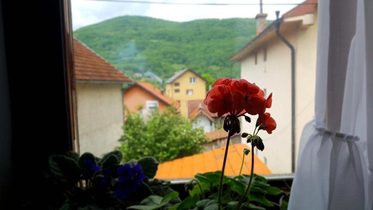 Ferienwohnung Apartman Jovanovic Bajina Basta Exterior foto